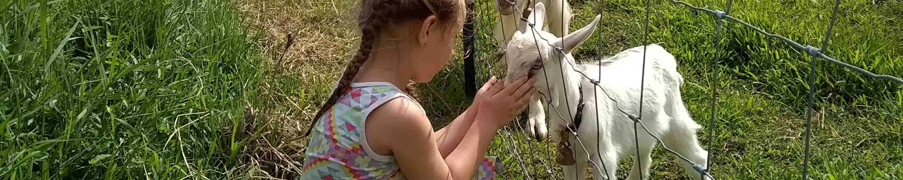 Hokulani getting cuddles from a young visitor