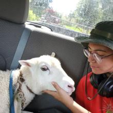 Rachel on her ride home to the sanctuary